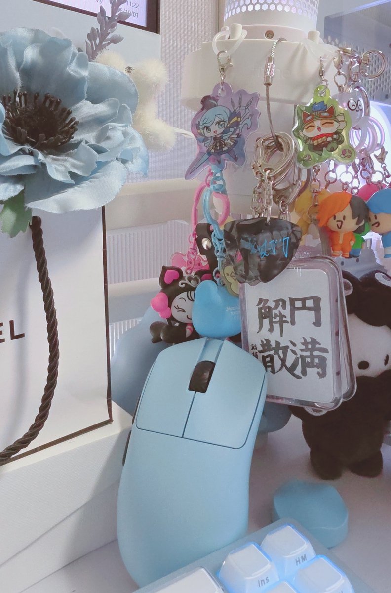 i2_0w0_i2's tweet photo. マウスきた🐭🩵🩵🩵🐭
かわいく撮れた？？？？？？！！！！
いまからバグったかとおもってリセットかけた設定と戦うよ～～～～✌ https://t.co/37tAcmIub7