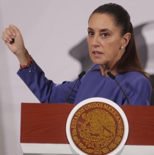 YoAmoaLaCiencia's tweet photo. 🍃 Monitoreo ambiental | Gobierno de Sheinbaum “logró decomisar” 20 mil ejemplares de plantas y animales: ¿dónde quedaron?

Alicia Bárcena aseguró que el gobierno de Claudia Sheinbaum ha “logrado decomisar” alrededor de 20 mil ejemplares de flora y fauna en aeropuertos, como parte del combate al tráfico ilegal de especies.

Pero un decomiso ocurre cuando el tráfico ya ocurrió. 

Animales fueron capturados y plantas extraídas hasta que finalmente fueron detectados, esta cantidad decomisada  solo demuestra el tamaño de un problema que no fue detenido antes.

¿Cuántos eran animales vivos, cuántos estaban muertos, cuántos eran plantas y cuántos eran ya eran partes o productos? 

No es lo mismo decomisar un loro o un reptil vivo que asegurar pepino de mar ya sacrificado, pieles o artículos.

¿Dónde quedaron los animales vivos?

El seguimiento público es prácticamente nulo, no existe un sistema abierto y fácilmente consultable que permita conocer qué ejemplar fue decomisado, quién lo recibió, bajo qué figura jurídica quedó depositado y cuál fue su destino final.

Esto importa especialmente cuando los ejemplares terminan bajo resguardo de particulares.

No se puede rastrear actualmente qué pasó con los animales, si permanecieron en cautiverio, si fueron utilizados para reproducción o sí posteriormente ingresaron a circuitos de aprovechamiento o comercialización autorizados.

Las plantas decomisadas no deberían perderse dentro de colecciones privadas sin trazabilidad pública.

Si SEMARNAT y PROFEPA saben qué ejemplar entregaron, a quién se lo entregaron y bajo qué condiciones, esa información debe poder seguirse públicamente. 

De lo contrario, resulta imposible vigilar que un animal o una planta retirados del tráfico ilegal no terminen generando posteriormente un beneficio privado.

Si el gobierno de Claudia Sheinbaum presenta 20 mil decomisos como un logro, que publique el inventario y la trazabilidad.