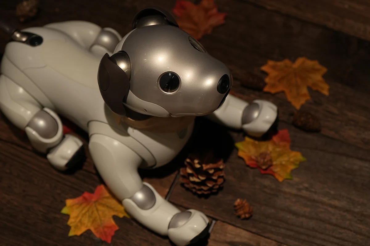 aibo on X: 