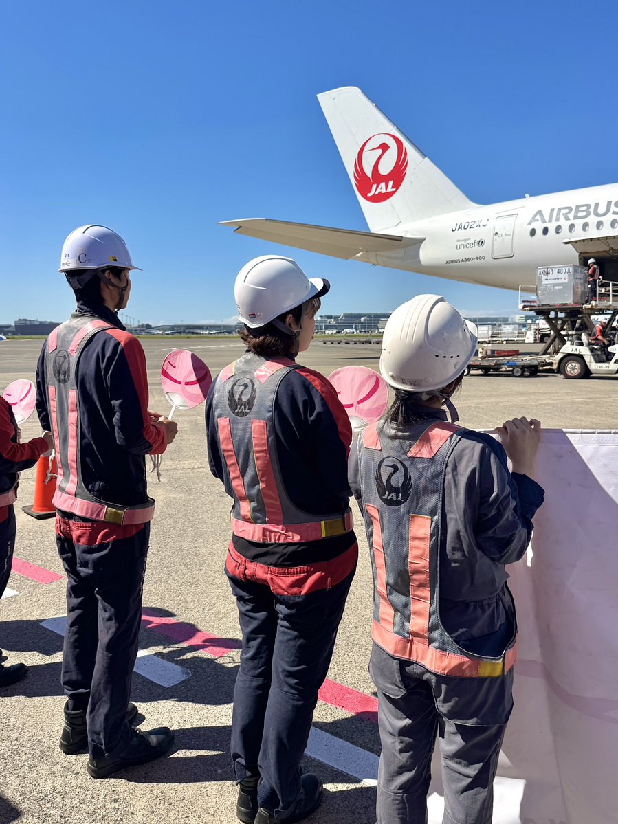 ikarosairline's tweet photo. JALは毎年10月を「ピンクリボン月間」と定め、がんに関する正しい知識と早期発見・早期治療の大切さを伝えています。
その一環として本日、羽田空港でイベントを開催。ピンク色のアイテムを身に着けた各職種のスタッフと8台のピンクコンテナが集結（2台は搭載）し、福岡行きJAL315便を見送りました。 https://t.co/jHt2ixIAm6