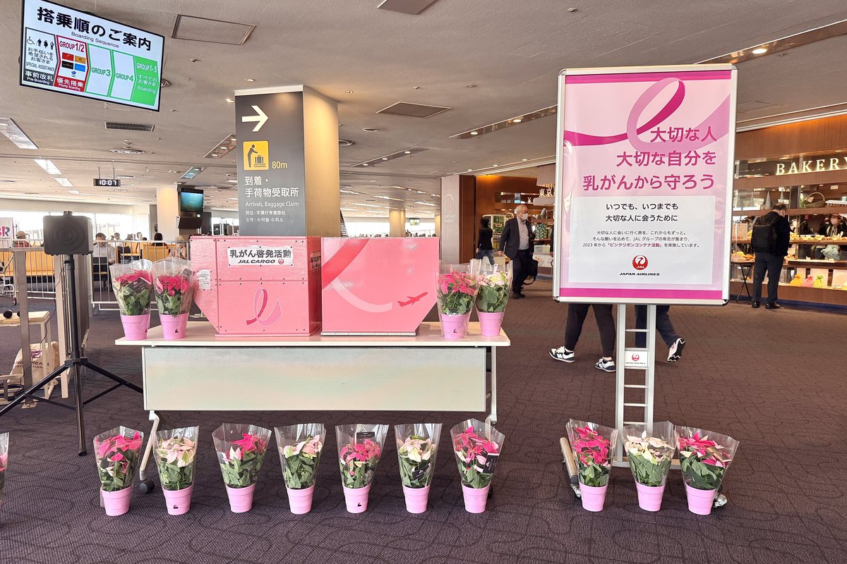 ikarosairline's tweet photo. JALは毎年10月を「ピンクリボン月間」と定め、がんに関する正しい知識と早期発見・早期治療の大切さを伝えています。
その一環として本日、羽田空港でイベントを開催。ピンク色のアイテムを身に着けた各職種のスタッフと8台のピンクコンテナが集結（2台は搭載）し、福岡行きJAL315便を見送りました。 https://t.co/jHt2ixIAm6