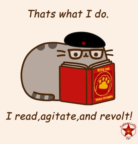 catazhy's tweet photo. https://t.co/ihXsSet4wZ
