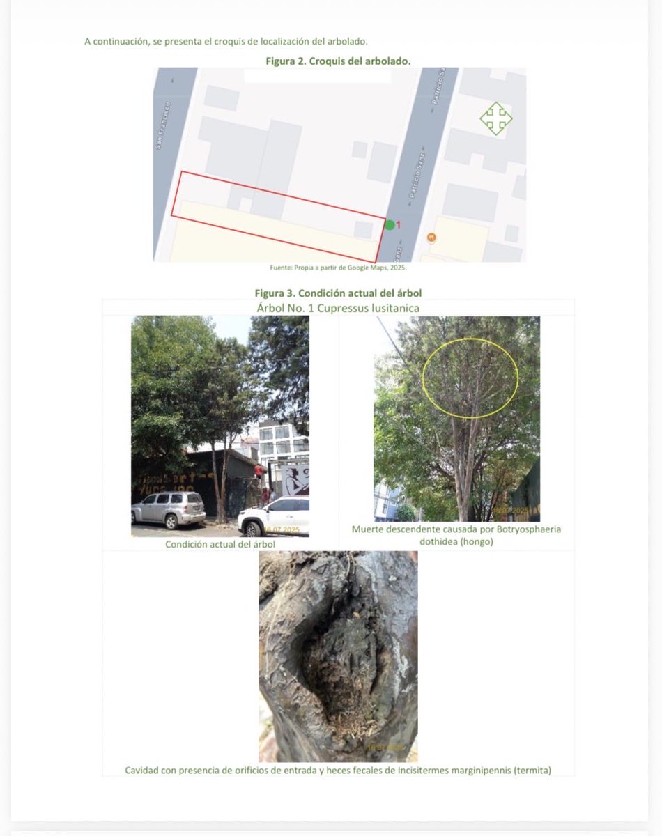 RebecaRuVi's tweet photo. @En_Narvarte2 @inveacdmx @PAOTmx @PoderAG_BJ @BJAlcaldia @VillaDeCortesBJ @SEDEMA_CDMX @supercivicosmx @OVIALCDMX Les muestro también el dictamen. https://t.co/uBJKWBJ7DP