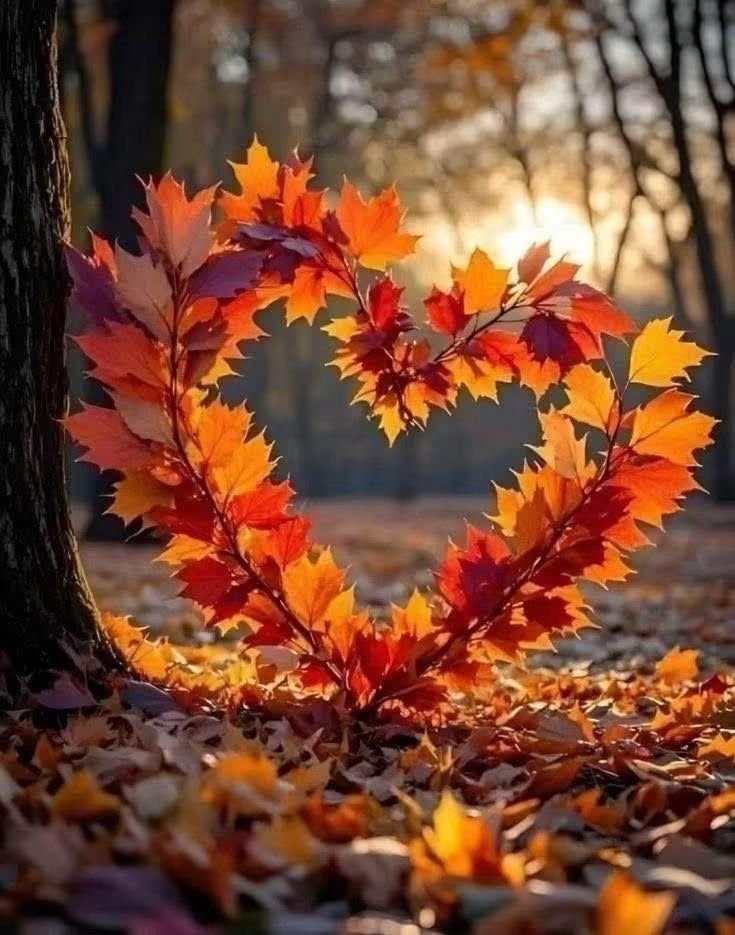 marika_lizi's tweet photo. People will forget what you say and they will forget what you do. But what they will never forget is how you made them feel...
(Just a tweet)
#NewMonth #ThursdayMorning #ThursdayFeeling #ThursdayMood #ThursdayVibes #ThursdayThoughts #ThursdayMotivation https://t.co/nqErQPDi7w