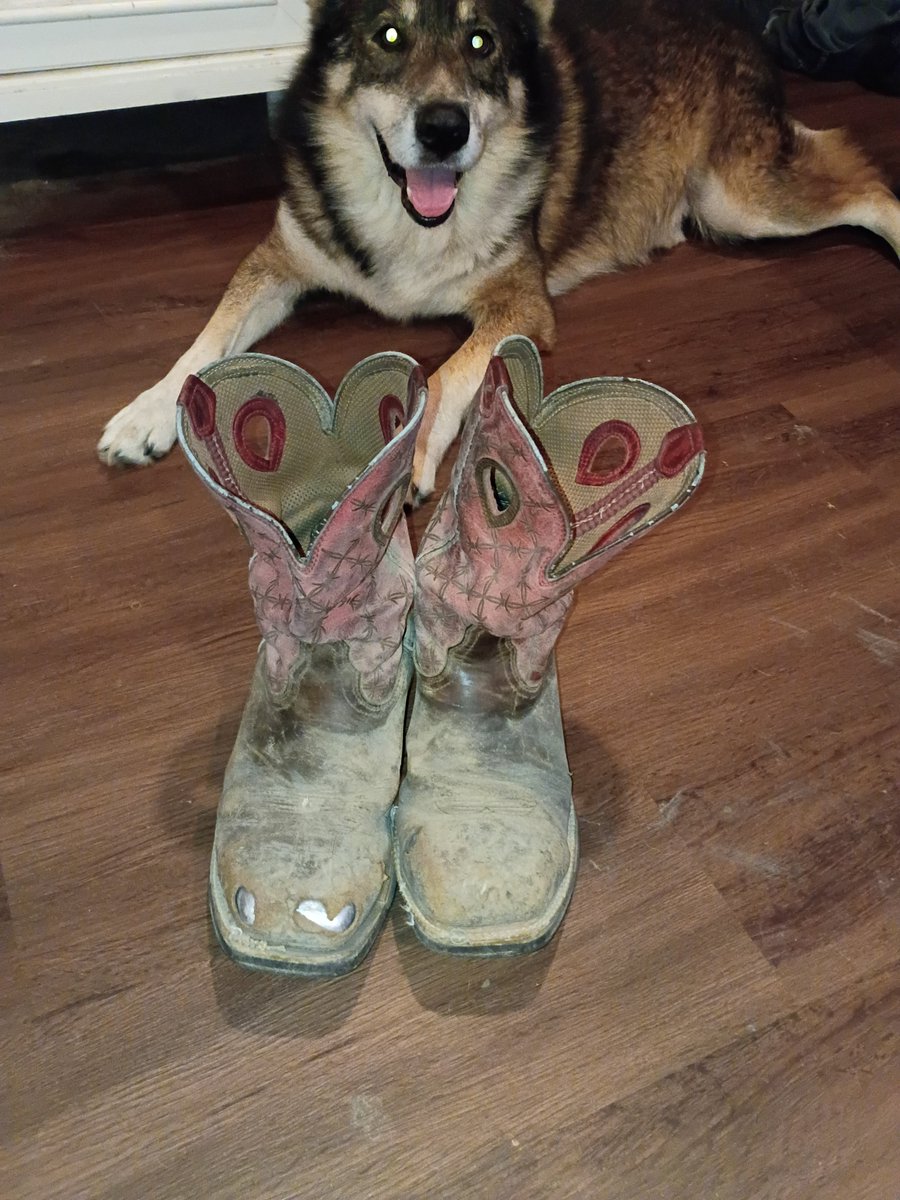 Bzxvb's tweet photo. @GERMANICGENZ Congratulations!! Those ain't boots though https://t.co/WGN0oSJxRR