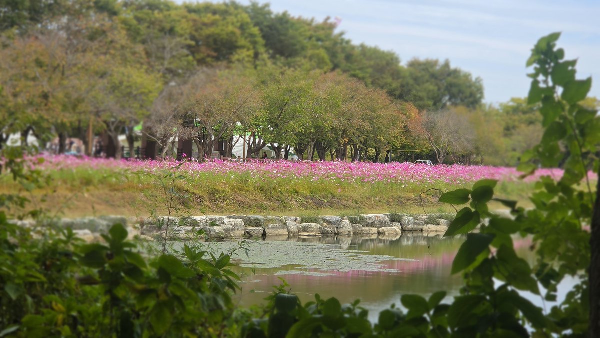 onlyheejae_one's tweet photo. [#2026사선문화제👼] 
261001 
시월의 첫날🍂
      희재와 함께라면  가을도 완벽🍁

#김희재 
#치명섹시트롯돌
#金熙栽 #kimheejae
#희재따라온희랑 https://t.co/ZhF6GcxLjY