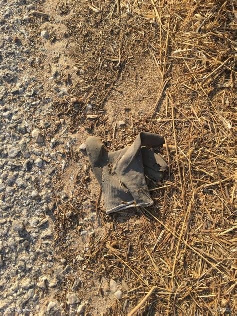 maxxhazard's tweet photo. @tpvsean Issac kappy had a lot to say about Tom Hanks and its really weird after police said Issac forced himself off the overpass and died by being hit by a car  Tom posted a glove in the dirt then when people started to point fingers Tom flew to Greece https://t.co/1meB32vTaA