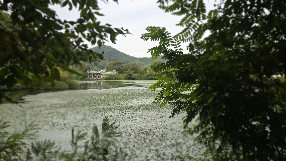 onlyheejae_one's tweet photo. [#2026사선문화제👼] 
261001 
시월의 첫날🍂
      희재와 함께라면  가을도 완벽🍁

#김희재 
#치명섹시트롯돌
#金熙栽 #kimheejae
#희재따라온희랑 https://t.co/ZhF6GcxLjY