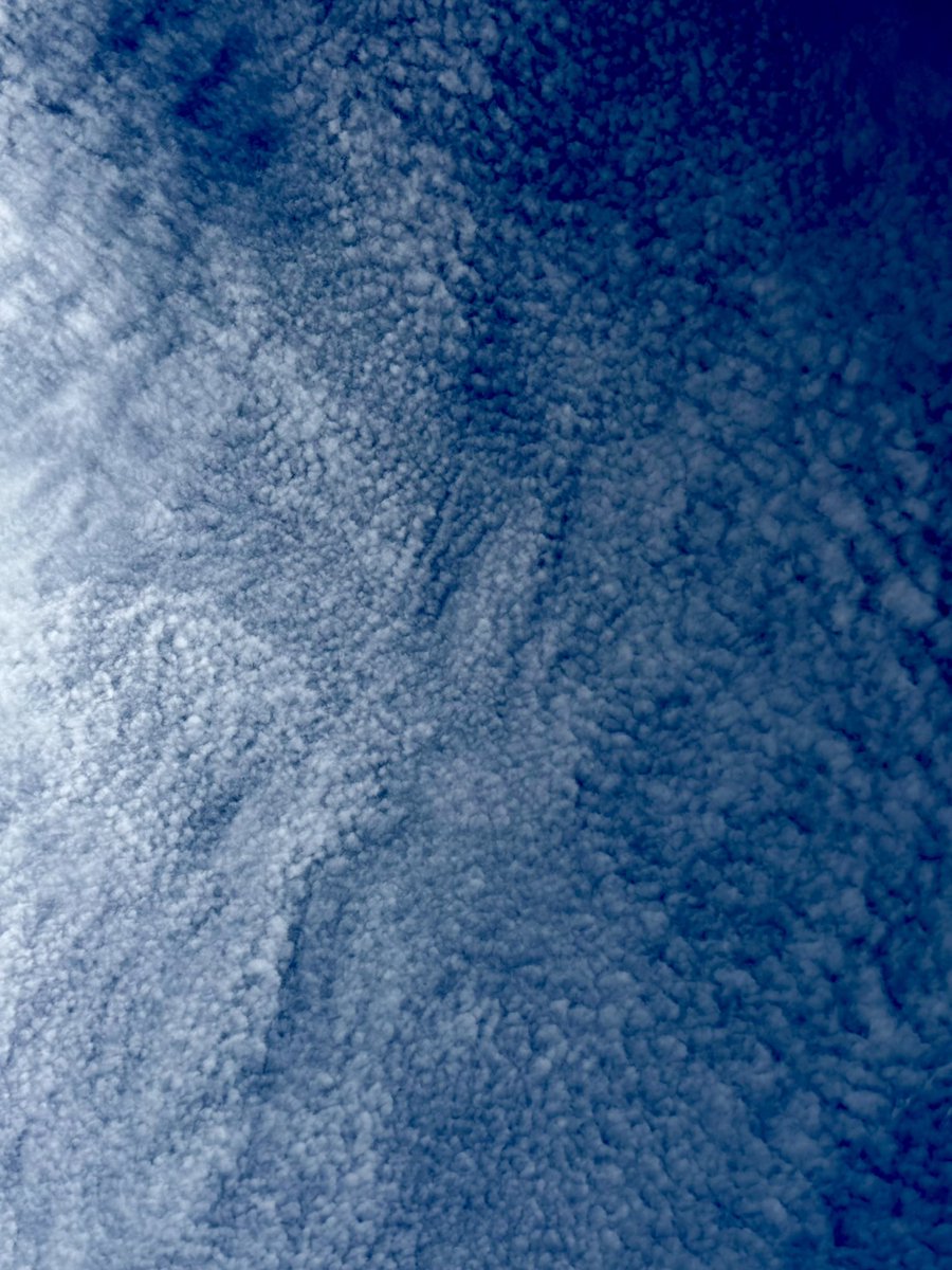 HimeElle's tweet photo. おはようございます☀️
今日から10月。

空を見上げたら、すごい雲☁️

思わずハッ😳とするような
見事な秋晴れですね。

10月もお仕事したり歌ったり、あちこち行ったりする予定です😂
今月もよろしくお願いします。　　　

#女医ドル #溝呂木乃梨 https://t.co/joA25R2vkd