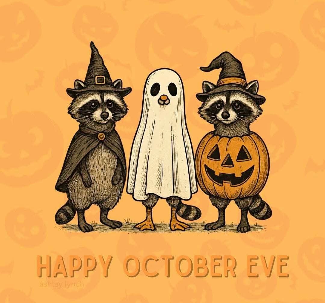 DJTommyRocks's tweet photo. "Goodbye, September ... Happy October Eve!"πππππββ¬ππ¦π»πππ
#GoodbyeSeptember
#ItsAlmostOctober
#HappyOctoberEve
#OctoberEve #ItsOctoberEve
#October #OctoberVibes https://t.co/DtdMGIsSuD