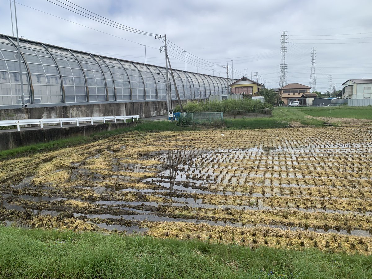 mikan_be's tweet photo. のどかですね https://t.co/A9y5tdVz4c