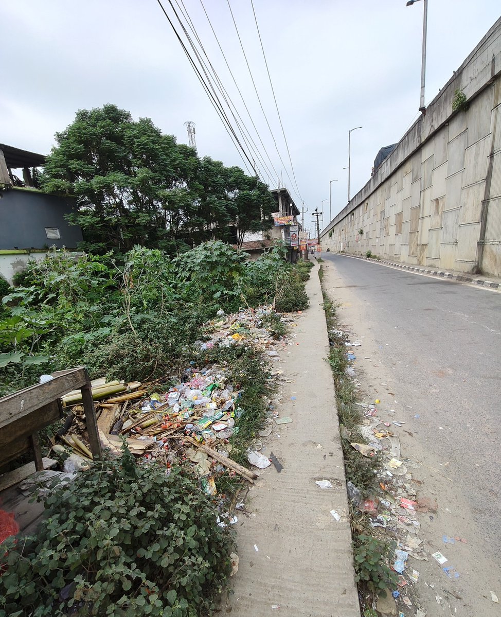 debarshisaikia7's tweet photo. Severe garbage dumping near Nagaon-Morigaon Rd, Roha (PIN 782103). Plastic &amp; waste are endangering local stray animals &amp; harming the environment. Urgent cleanup required!
  
​@CMOfficeAssam @himantabiswa @RahaMunicipal #SwachhBharat #CleanAssam #SwachhBharatMission https://t.co/ixQj237Rc0