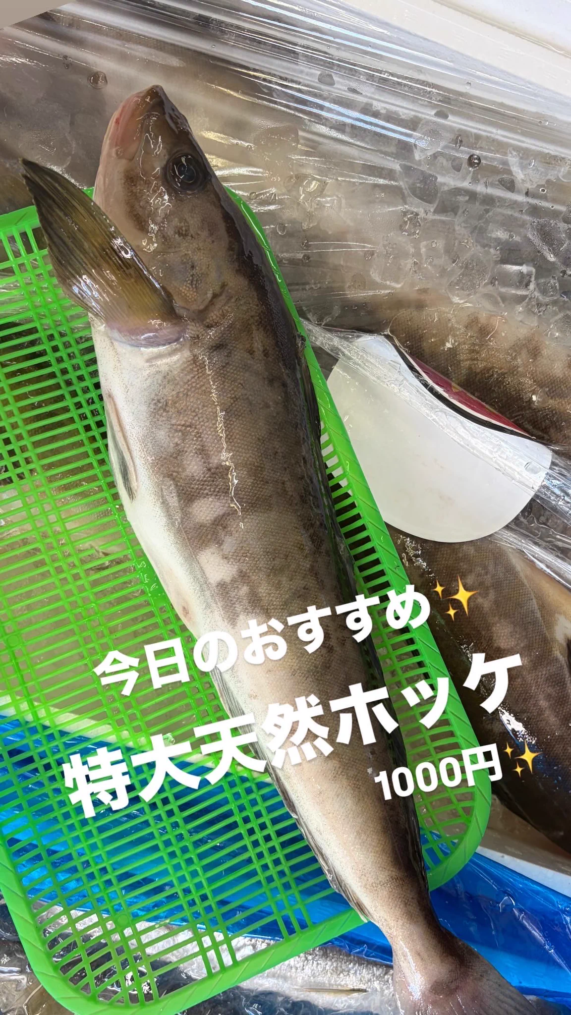 本店】武蔵境おさかな家さん南口店 on X: 