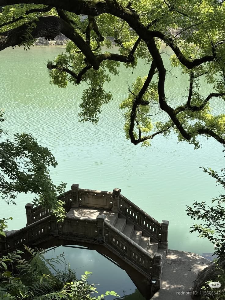 greenvibe's tweet photo. green. https://t.co/ty0QPI73tO