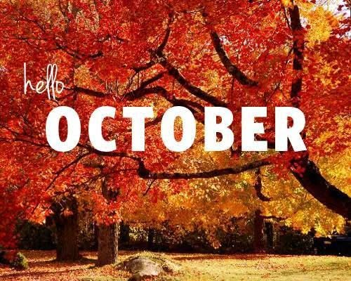 Marti_L's tweet photo. https://t.co/gdB41y1tLC