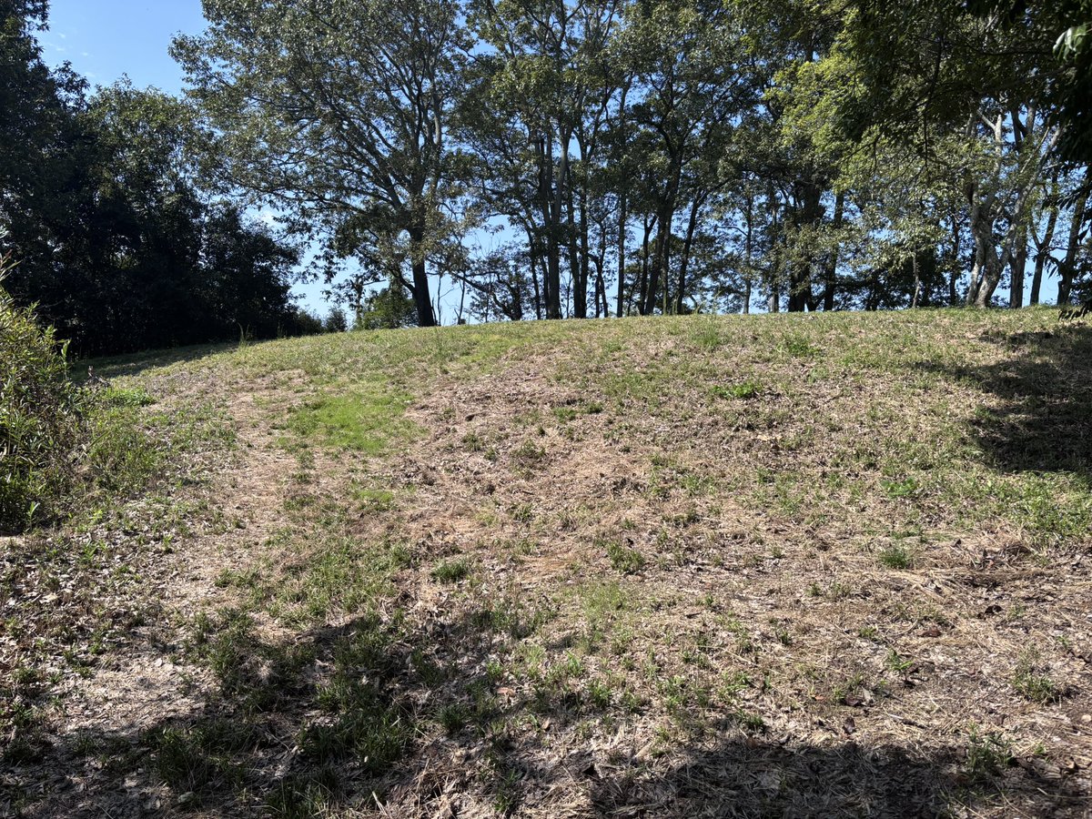SiloVine's tweet photo. 備中・滝山城なう

福山と井原を繋ぐ街道の、備中備後国境の小山に築かれた城で、宍戸氏の城。正霊山城主の藤井氏が毛利から離反した際に攻め落とされたという。
城自体は案内はあるものの削平は甘く切岸もはっきりしない。石積も見られるが後世の農業によるものか

削平の甘い主郭、国界石
怪しい石垣 https://t.co/d1ivbvDztw