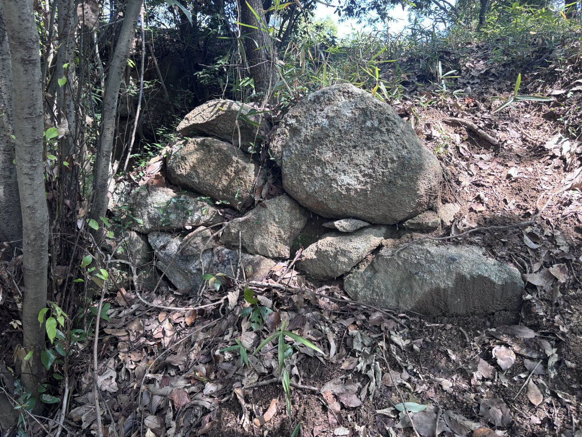 SiloVine's tweet photo. 備中・滝山城なう

福山と井原を繋ぐ街道の、備中備後国境の小山に築かれた城で、宍戸氏の城。正霊山城主の藤井氏が毛利から離反した際に攻め落とされたという。
城自体は案内はあるものの削平は甘く切岸もはっきりしない。石積も見られるが後世の農業によるものか

削平の甘い主郭、国界石
怪しい石垣 https://t.co/d1ivbvDztw