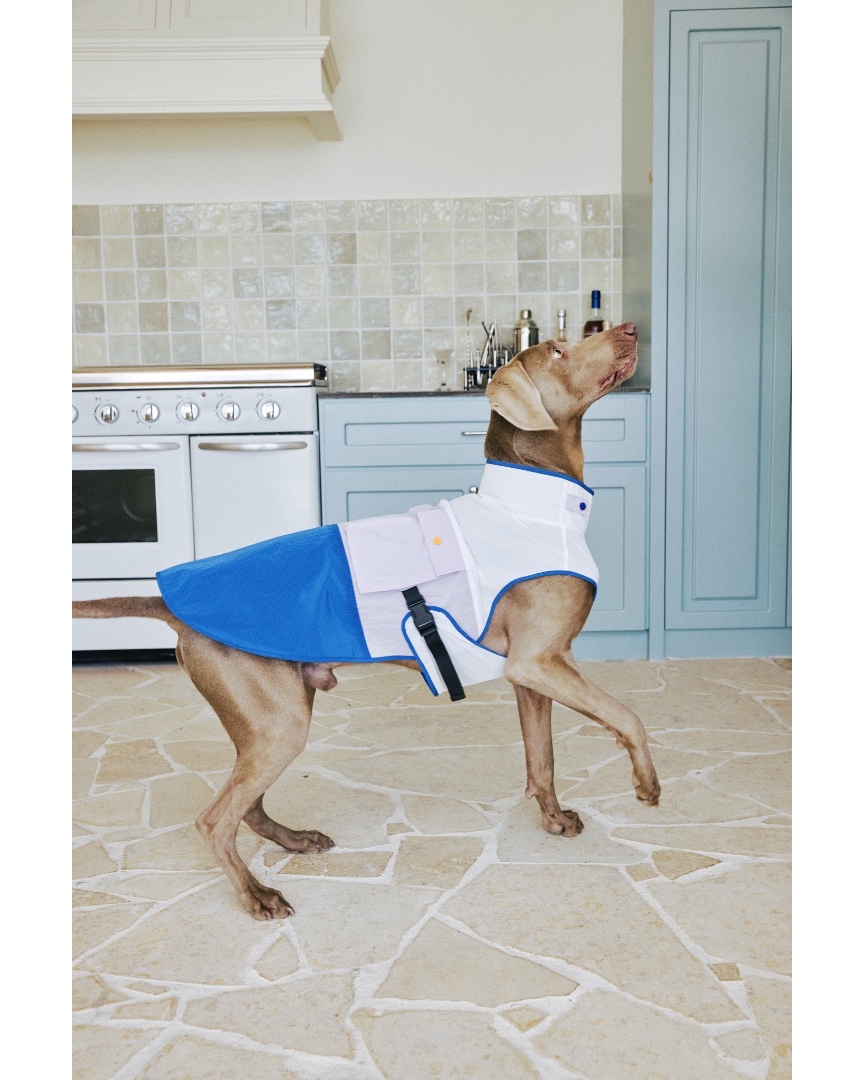 luckydudu_box's tweet photo. Light vest shields pup from strong sunlight. Cool color block appearance. Useful side storage pocket. Snap buckle for fast on and off. Sleeveless, no movement limits. Perfect for daily outings &amp; hikes.
#fyp #foryou #dogvest #dogsunsafety #petoutdoor
https://t.co/HyigmNkLpi https://t.co/fLiaJiyNPL