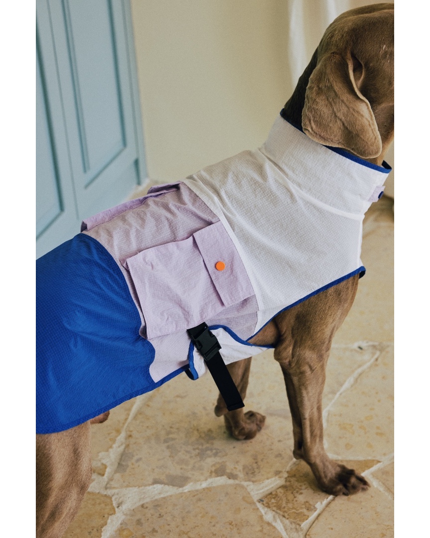 luckydudu_box's tweet photo. Light vest shields pup from strong sunlight. Cool color block appearance. Useful side storage pocket. Snap buckle for fast on and off. Sleeveless, no movement limits. Perfect for daily outings &amp; hikes.
#fyp #foryou #dogvest #dogsunsafety #petoutdoor
https://t.co/HyigmNkLpi https://t.co/fLiaJiyNPL
