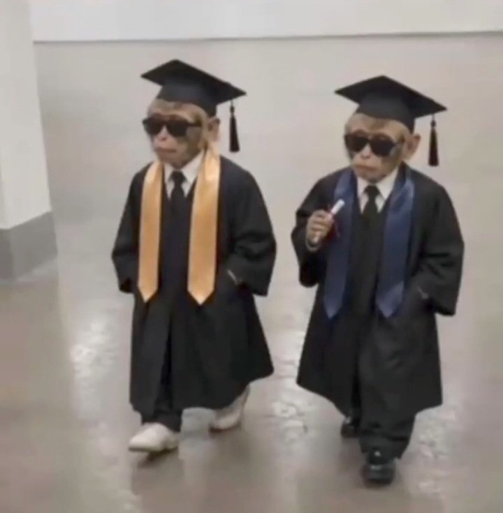 Herballerg's tweet photo. Convocation Month btw 🥹😊 https://t.co/QvJVl0Oxbq