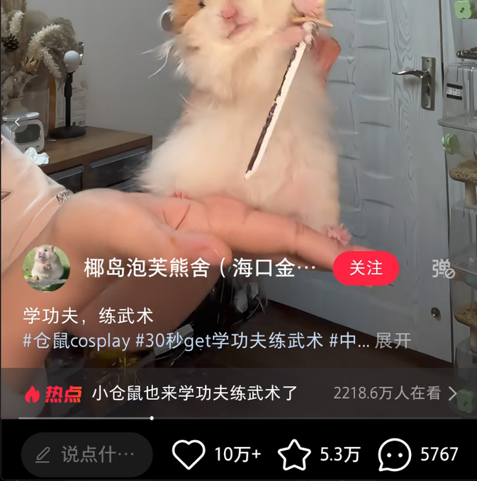 samr33n_'s tweet photo. 哈基米给我们打开了纯动物meme的天花板 
这个仓鼠在抖音和小红书是真的火，双平台都爆火
 二创空间极大啊，币股也需要一个哈基米叙事
https://t.co/ctlXnIb09p https://t.co/Npn9XGOYhm