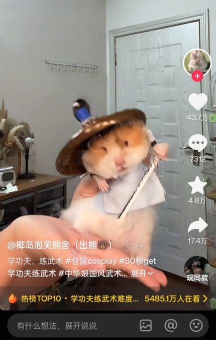 samr33n_'s tweet photo. 哈基米给我们打开了纯动物meme的天花板 
这个仓鼠在抖音和小红书是真的火，双平台都爆火
 二创空间极大啊，币股也需要一个哈基米叙事
https://t.co/ctlXnIb09p https://t.co/Npn9XGOYhm