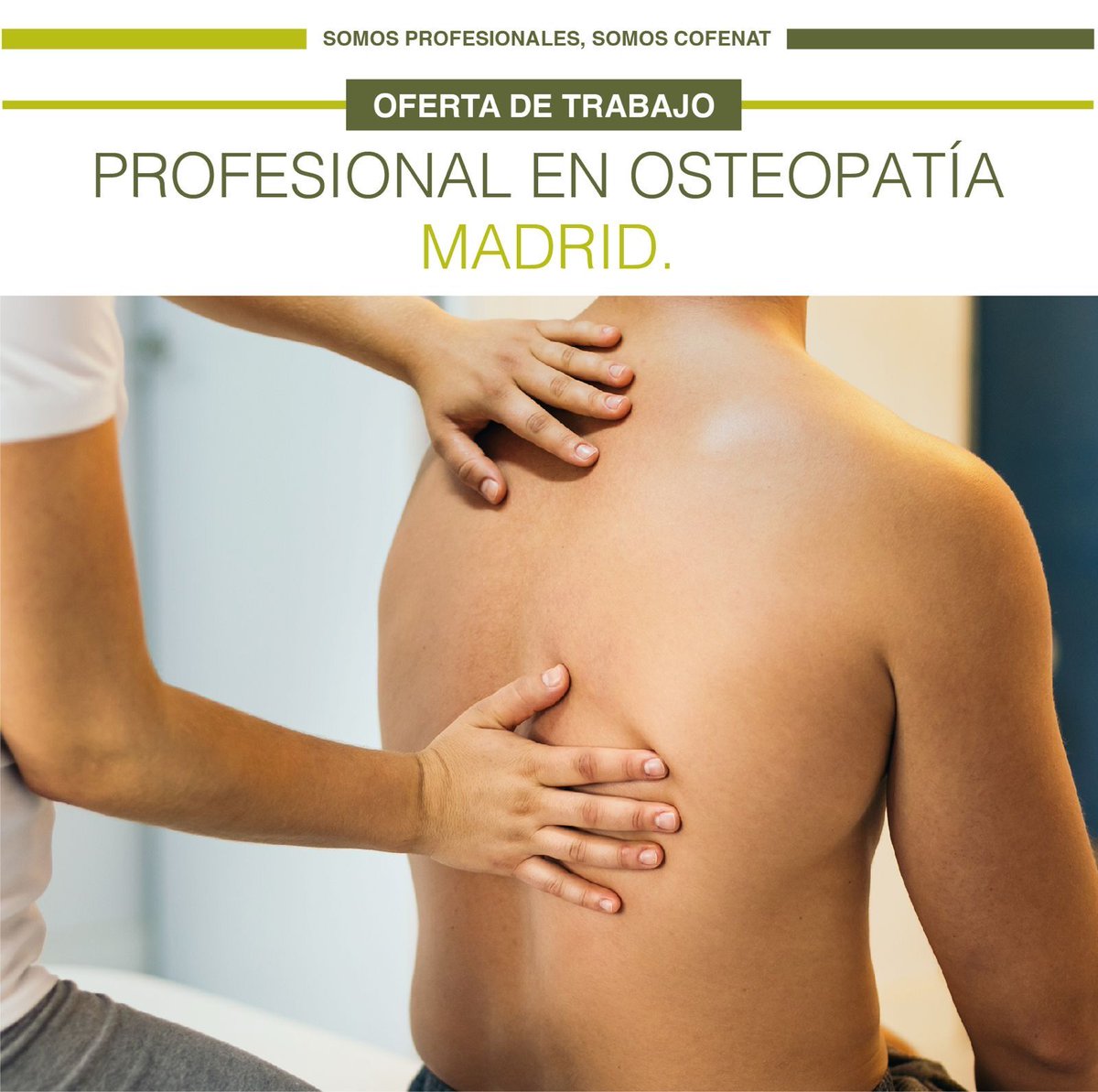 aptncofenat's tweet photo. 🍀OFERTA DE TRABAJO. 

📍MADRID. #Vallecas

Centro de Terapias Naturales, sito en la zona de Vallecas (Madrid) precisa #Osteópata, con formación en #Quiromasaje y Drenaje Linfático.
Para más  info, escríbenos !
#cofenat https://t.co/BND19lVOXY