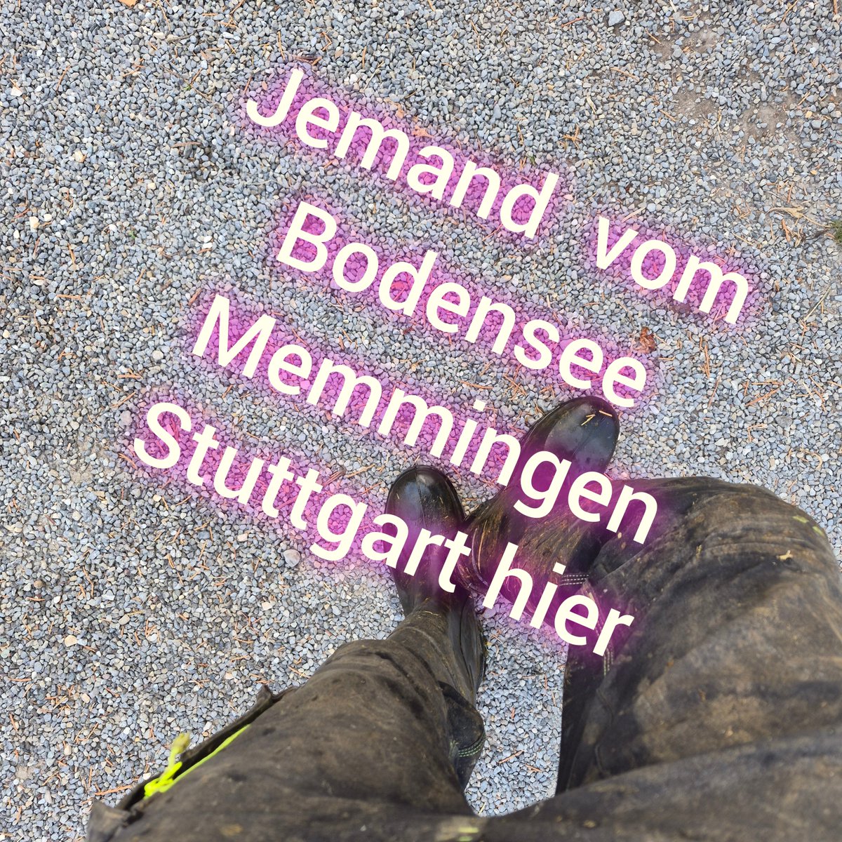 Landwirt9's tweet photo. https://t.co/cxpZVAiap8