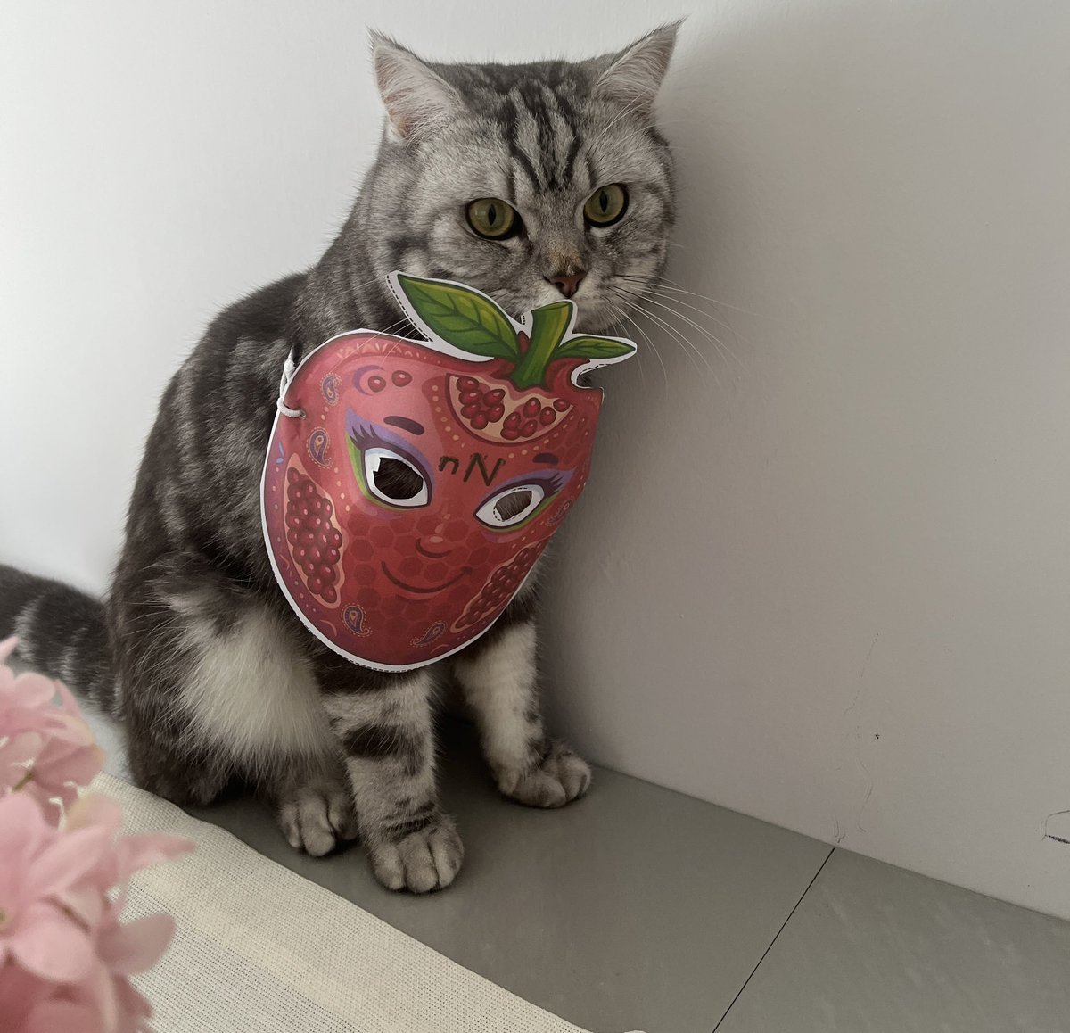 incirefem's tweet photo. 1. Sınıf çok zor https://t.co/kdG7TAeUuJ
