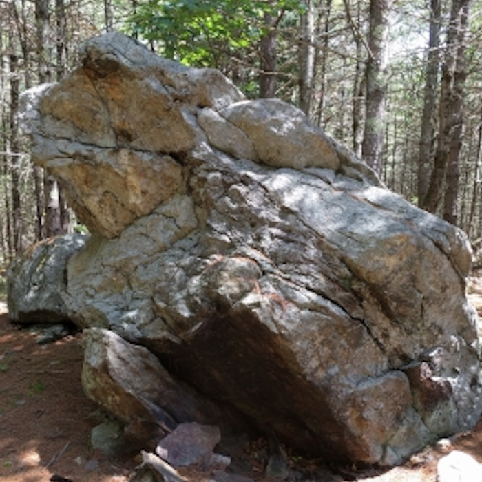 A natural rock that has looked like a frog for generations

Frog Rock became a popular local attraction more than a century ago and remains in the same area tod