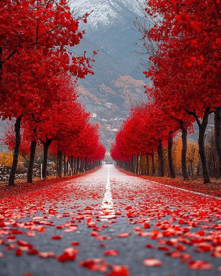 __peacepoet's tweet photo. The more you are thankful the more you attract things to be thankful for.... 

Happy Thursday 🍁🍃 https://t.co/6ROiNQ9vqE