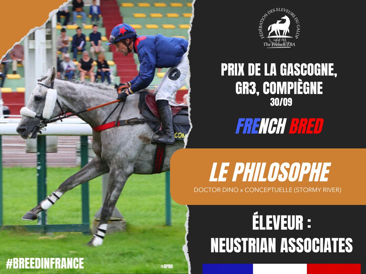Fedeeleveurs's tweet photo. 🎉 Félicitations à Neustrian Associates (@harasdubuff ) pour la superbe victoire de LE PHILOSOPHE, fils de #DoctorDino, étalon du @HarasDuMesnil , dans le Prix de la Gascogne, Groupe 3 sur l'@HippoCompiegne (30/09) ! 👏
#vivelelevagefrancais #BreedInFrance #RaceAndCare https://t.co/PcoaaAKGfA