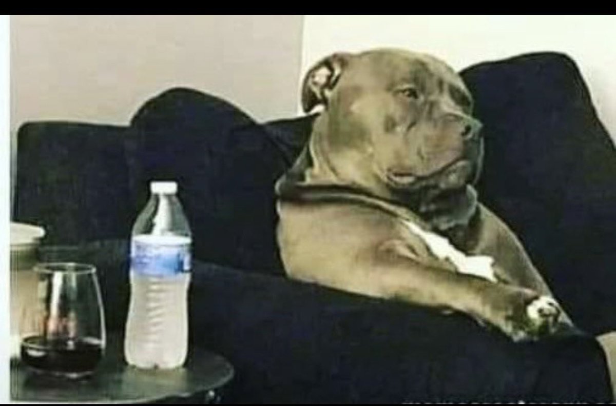 ChrisExcel102's tweet photo. King.  

This is how you should listen to her touching story that needs money 

Before dropping the "anginayo ne cent emdaka" …😭 https://t.co/IBpXtlsYJ1