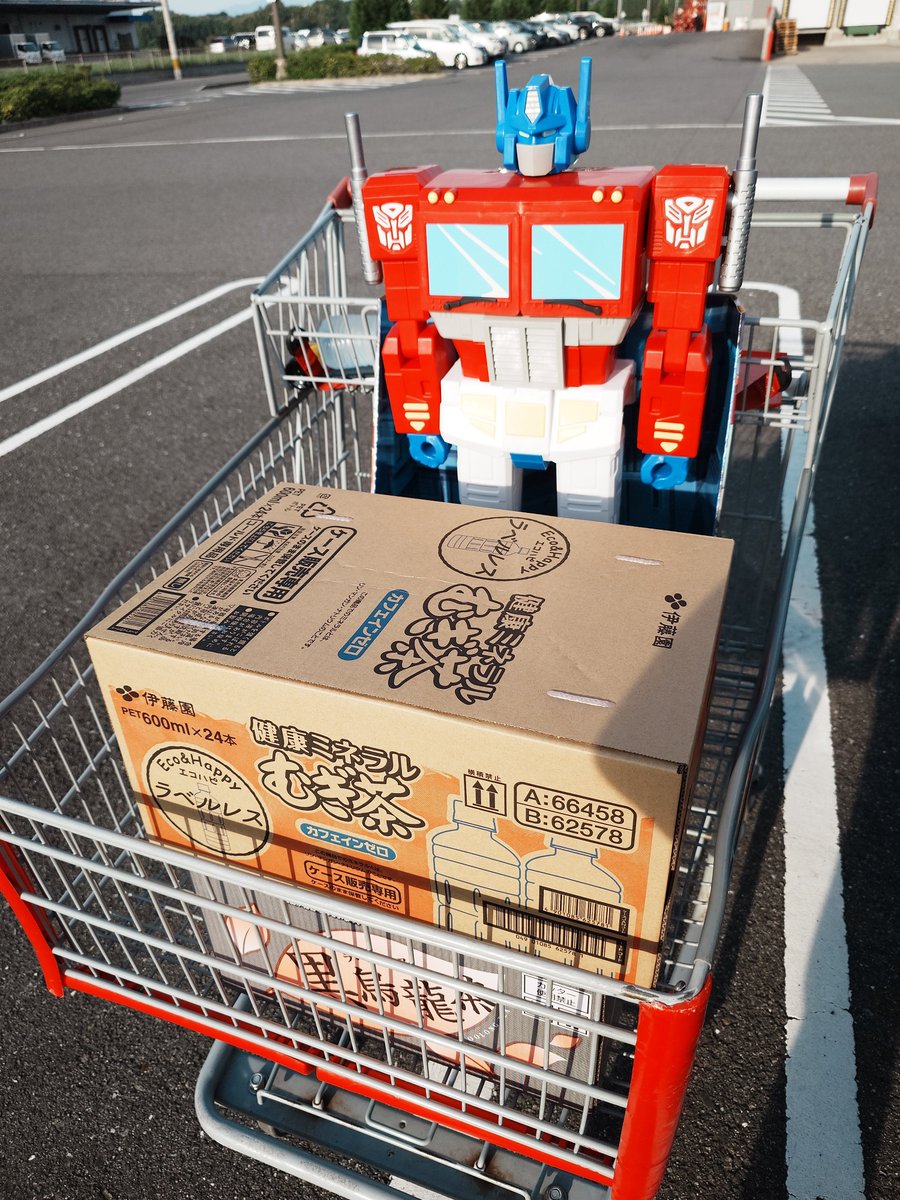 Alfes2010's tweet photo. 80cm オプティマス 熊本店にも無事に入った。
このためだけにコストコ会員になって購入して、コストコ会員の役割を終えることになる。
そう思っていたが、冷えピタ64枚が安かったの��、とりあえずそのためだけに会員に続けるかなと思っていたりはする。
#TFTOYの面白さを伝え隊
#トランスフォーマー https://t.co/J5DjWVFH85