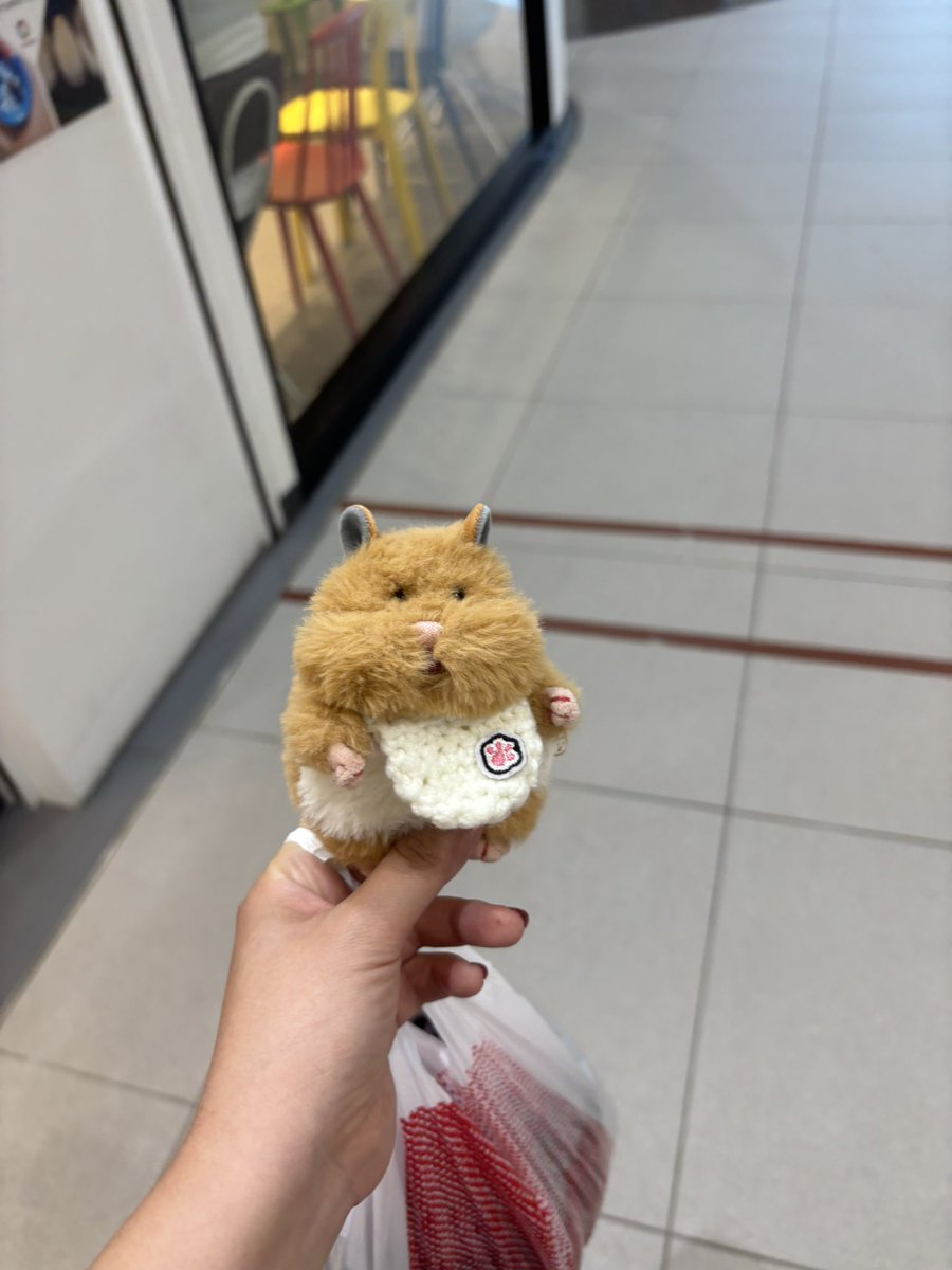tarochan6565's tweet photo. 迷子のはむにぎり見つけました😭
サービスカウンターに預けたので
飼い主さん迎え行ってあげてください😭
#はむにぎり https://t.co/Kt3X9btmsG