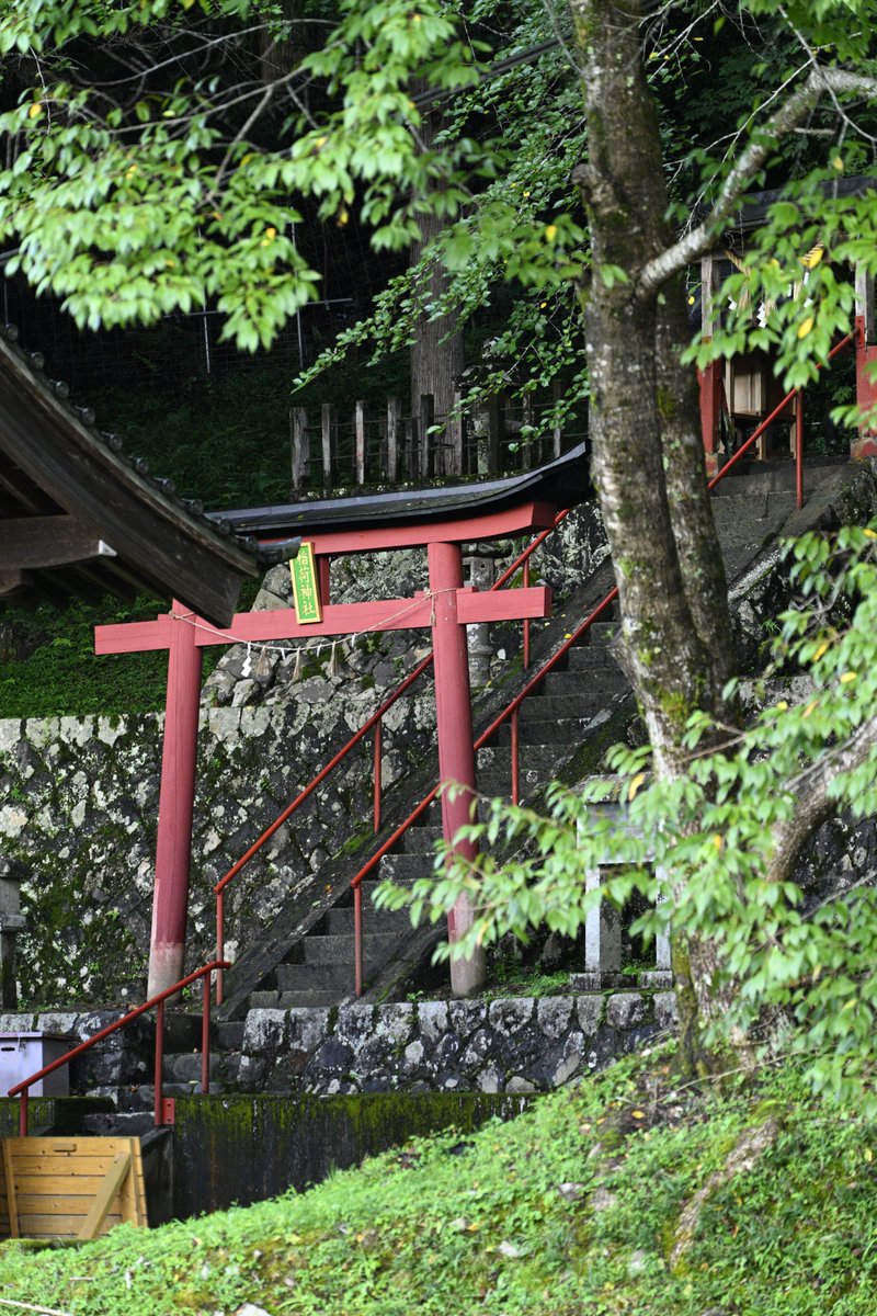 hichiso's tweet photo. 📍万場の稲荷神社
木々に囲まれた、静かで落ち着いた雰囲気の神社⛩🍃
自然を感じながらゆっくりとした時間を過ごすことができます。 https://t.co/t3flosTzas