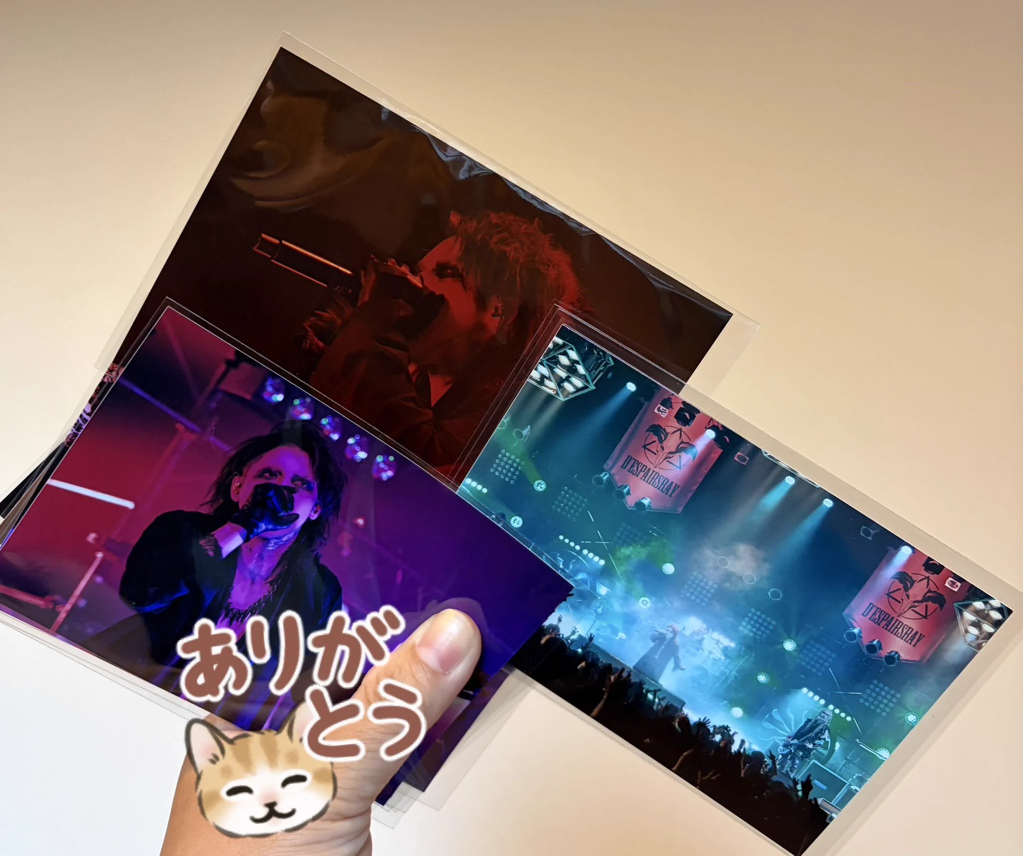 D'espairsRay アー写 ブロマイド アルバム セット めぐみん🐈 on X: 