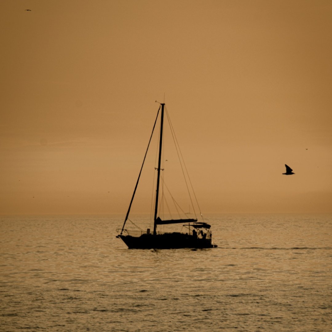 cotth398782's tweet photo. On this ship, don't fear the howl of the sails at dusk—its stout arms and tight cabin can ward off any rough waves out there. https://t.co/763LlC82sq