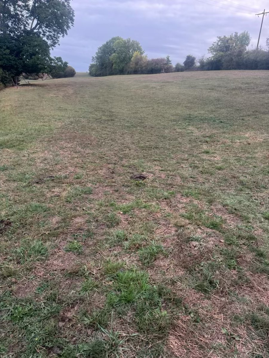usaa_02's tweet photo. À Armentières &amp; Oulchy, les prairies &amp; luzerne sont toujours à l’arrêt. Parcelles sèches, pousse insuffisante.

Les données du satellite AIRBUS ne reflètent pas la réalité du terrain.

Il est urgent d’obtenir la reconnaissance du cas de force majeure pour la luzerne concernée https://t.co/ekROXuVD9W