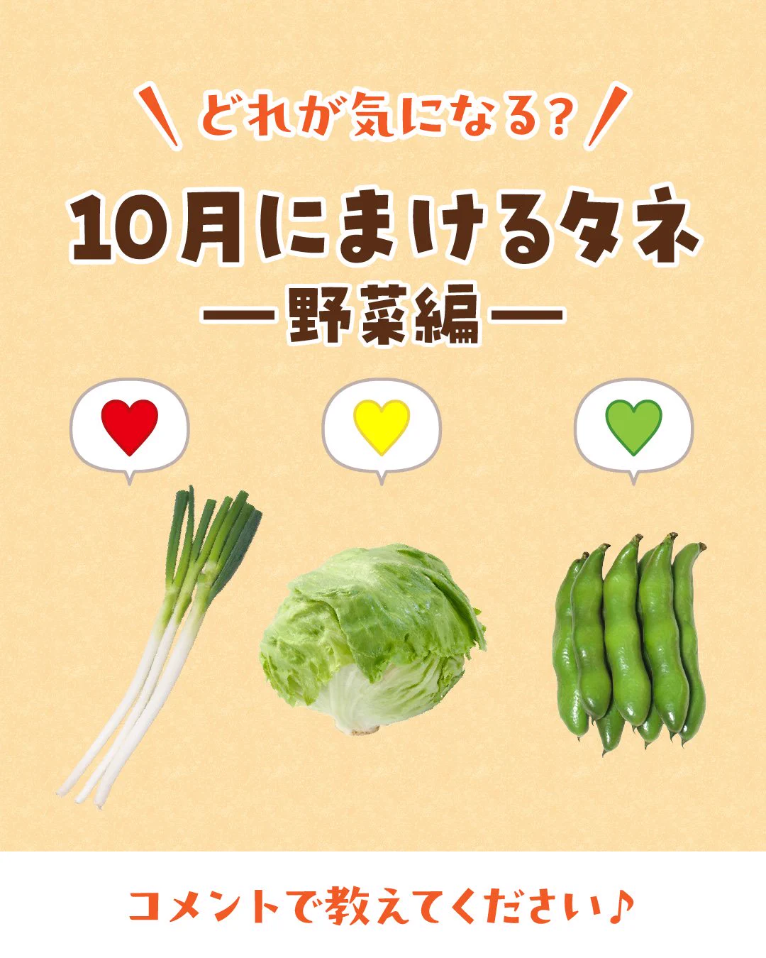 サカタのタネ_Seedfun.【公式】 on X: 
