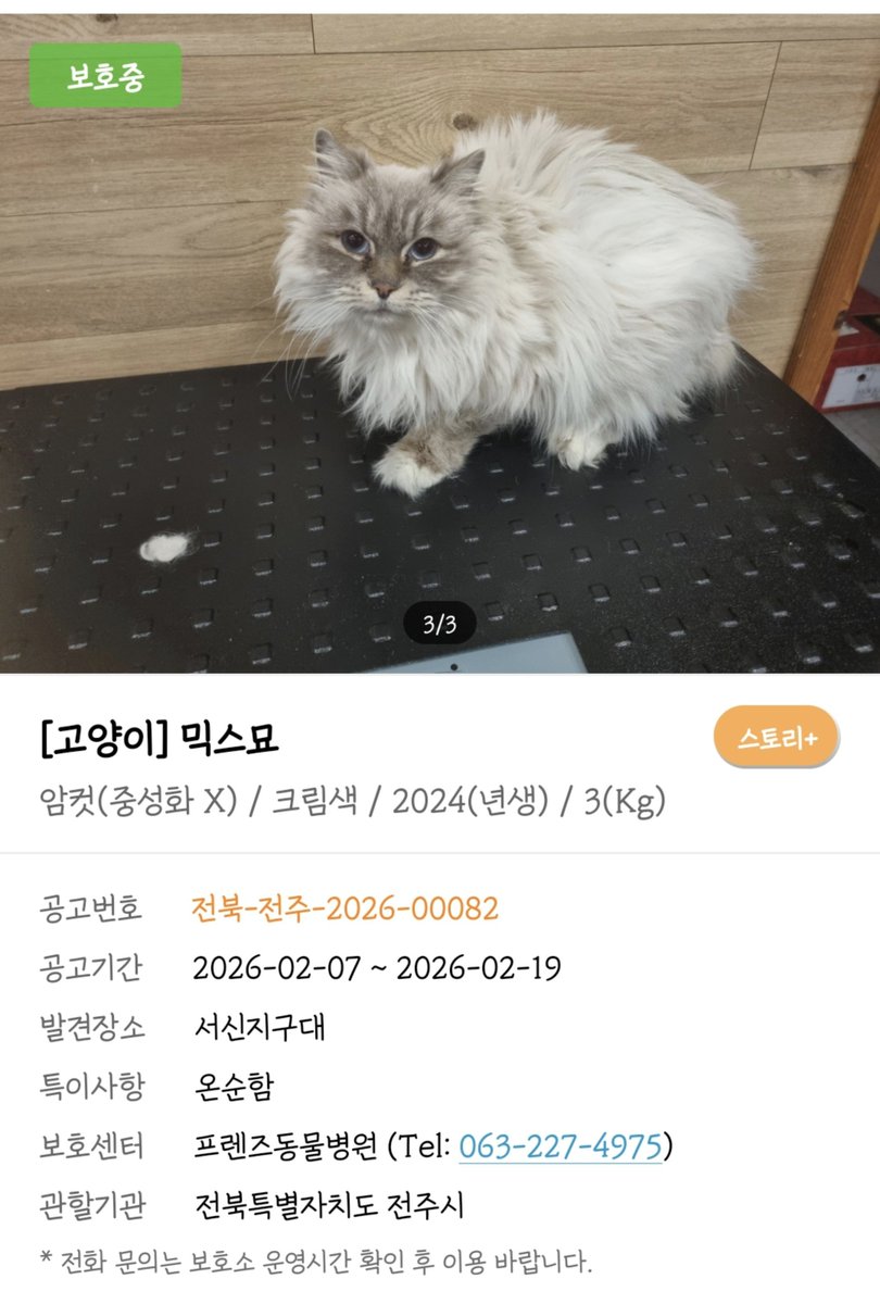 4ulmu's tweet photo. 2월달에 들어온 아이인데 품종들은 입양 못가면 안락사라고 합니다. 
이 아이 안락사 위기라네요. 
관심 부탁드리겠습니다🙏🙏 https://t.co/nNZSiQ6oT8