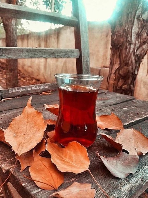 A tulip-shaped glass of dark red tea sits on a rustic wooden surface surrounded by dried brown leaves, with sunlight filtering through trees in the background and a watermark reading '@hadeqiane on Photography'.