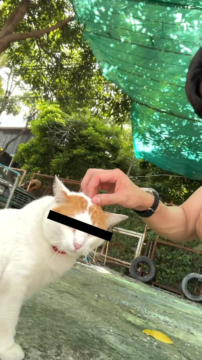 charasnup's tweet photo. @fforcejs @meyuyui เบลอหน้าผู้โชคดีให้แล้วค่ะ https://t.co/lJTUgr2fuu