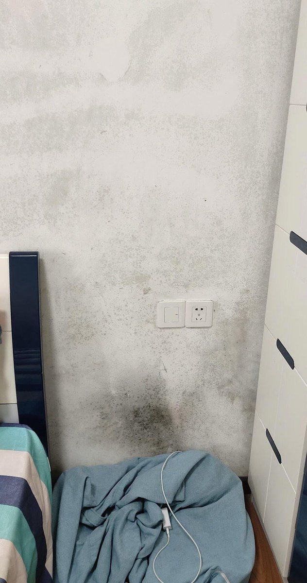 nadaeladela's tweet photo. BUIBU WAJIB TAU SIH INI😭

Ternyata black mold di dinding yang udah tahunan &amp; bikin rumah keliatan jorok bisa ilang TANPA cat ulang 😭 dengan buget mendang mending sumpahh

JAMURNYA GA BALIK-BALIK 😭🙏￼ https://t.co/RNxHKkw10c