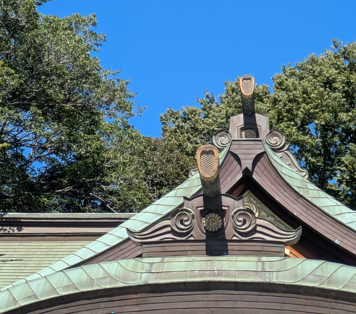 terralunarmagic's tweet photo. さいきょー吉日なので神社へ詣でました☺️
季節外れの紫陽花。
芒。撮ったらお陽さまのハレーションがエモくてびっくり‼️
私ごときが狙ってこの虹色は撮れません！
待ち受けにしようかな☺️ https://t.co/cYoWCxWRFu