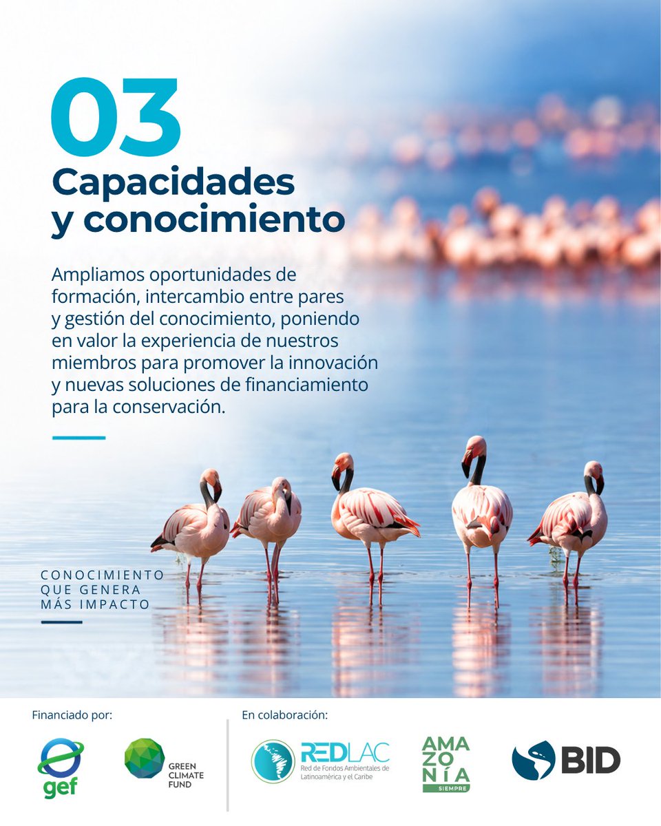 RedLAC1's tweet photo. 🌎 RedLAC y el @el_BID colaboran mediante una cooperación técnica financiada por el @theGEF  y el @GCF, que fortalece el trabajo de los fondos miembros de RedLAC y amplía las oportunidades para movilizar financiamiento para la naturaleza en América Latina y el Caribe. https://t.co/vIIdpKaFvU