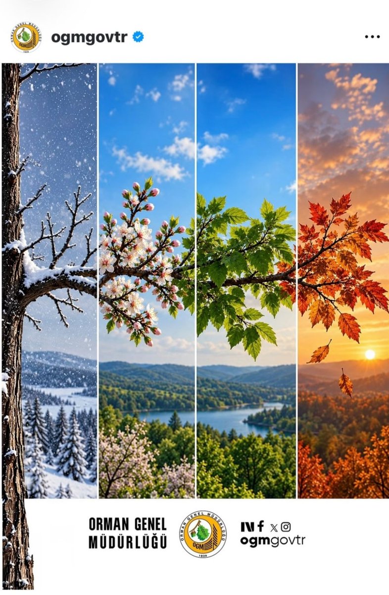 muratkiziloluk's tweet photo. Her doğan yeni günün, güzel ümitlerle beslenmesi dileğiyle;
#Günaydın 💞☕ 🌿🕊
#HayırlıSabahlar 🌺
#Perşembe 🫶
#4MevsimTürkiye 🌈
#OrmanlarımızGeleceğimizdir
#Alo112 Orman Yangını İhbar Hattı
#OGM 🌲 https://t.co/5TGgu777r6