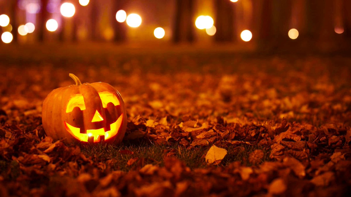 franchise_gazer's tweet photo. Hello #October 😸

#Halloween Cometh  👻 🎃 💀 https://t.co/akq2PdRFaz