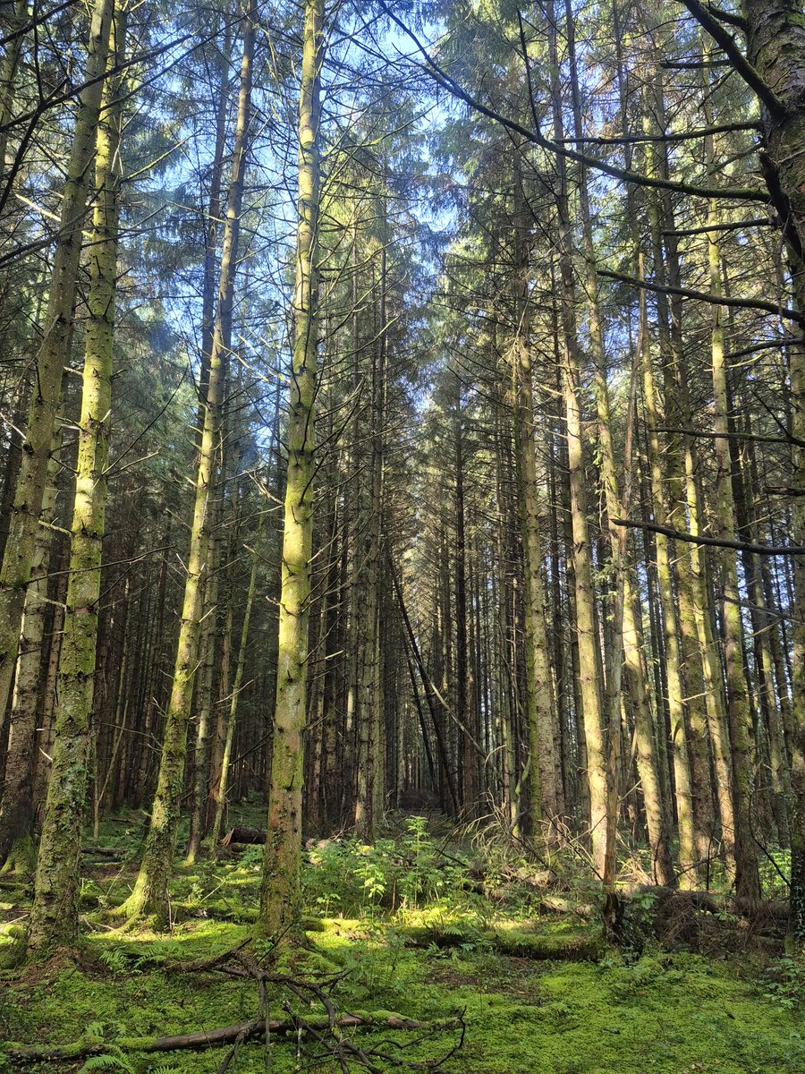 sarahpinkypink's tweet photo. To Pretty Not To Take A Photo 🖼
*I Looooove Days Deep Inside The Wild* 🐂🌳🐑🐿🌾🍁
#MyHappyPlace ♡ https://t.co/4x1iYK7zMK
