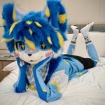 Photo by 星帆Starsail (@Starsail2007)